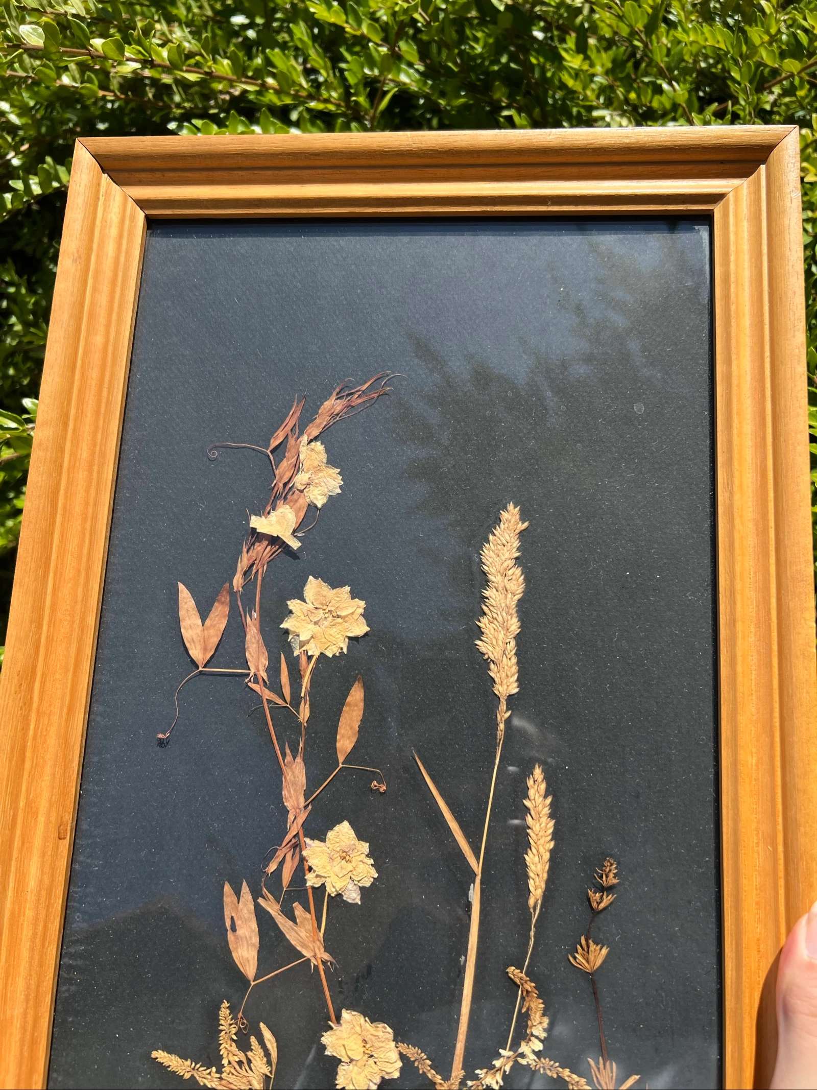 💮 Kadar kruidenboeket gedroogde bloemen Edelweiss vintage hout decoratieve muurkunst natuurlijk 56x26 cm – photo 2